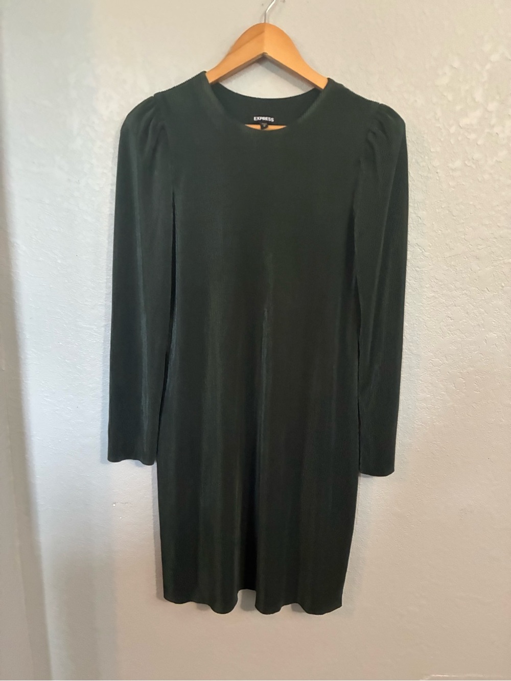 Express Dark Green Long Sleeve Crewneck Shift Dress medium